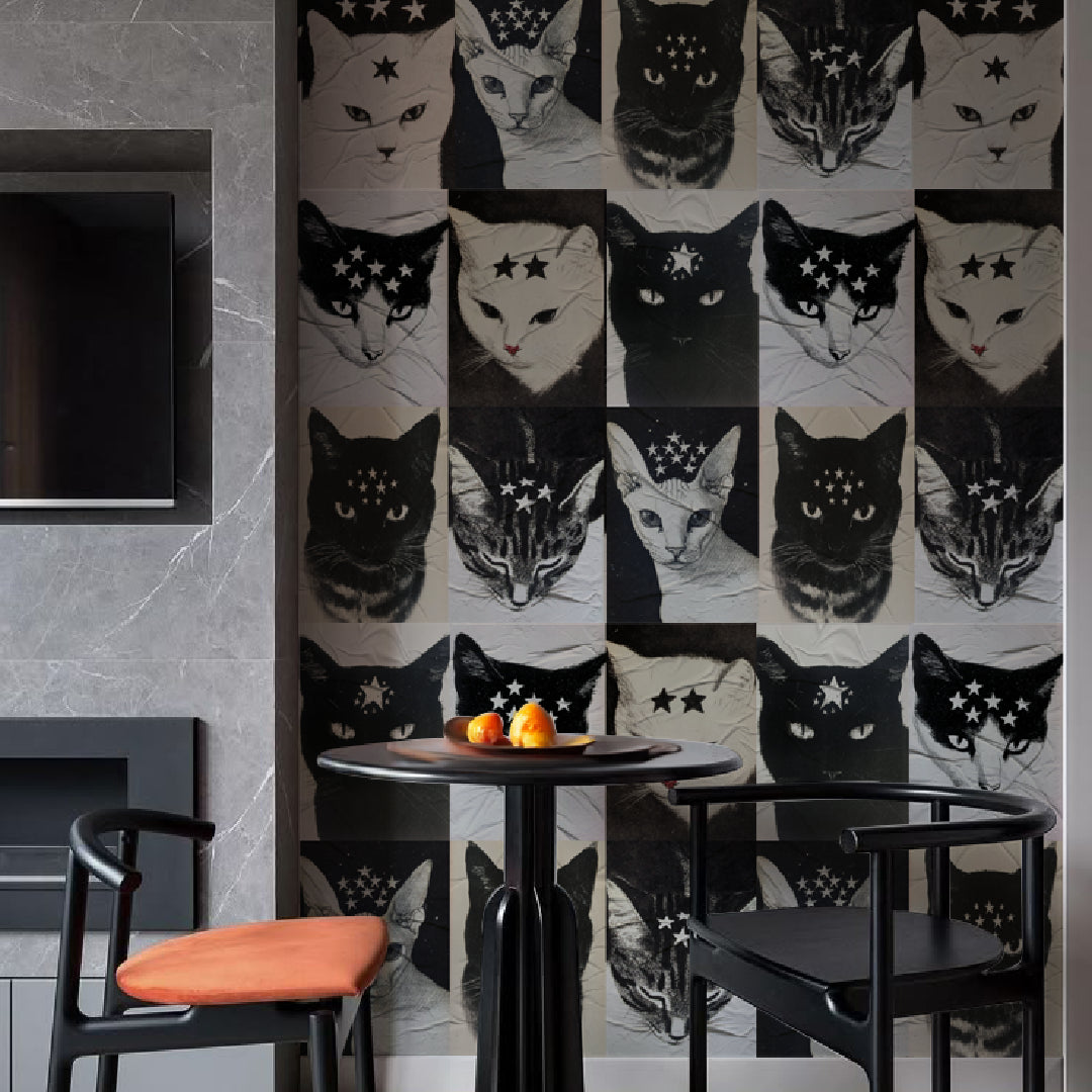 Kit Lambe-lambe Pets Gatitos