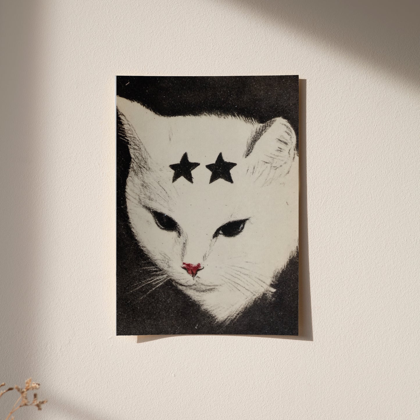 Print Lola