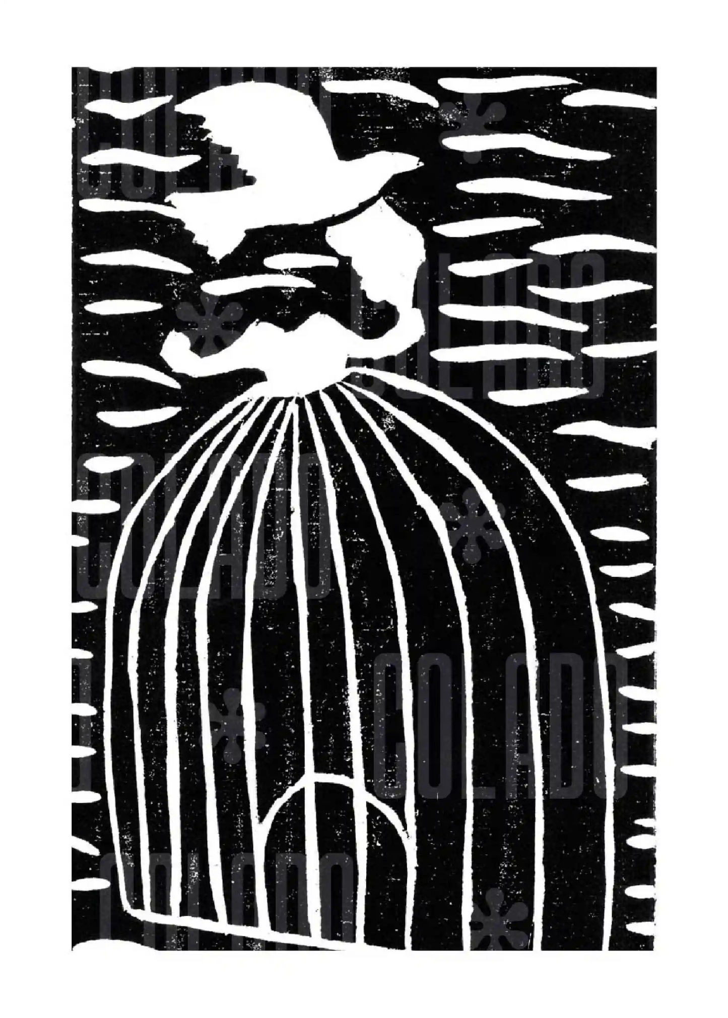 Kit Lambe-lambe Cordel