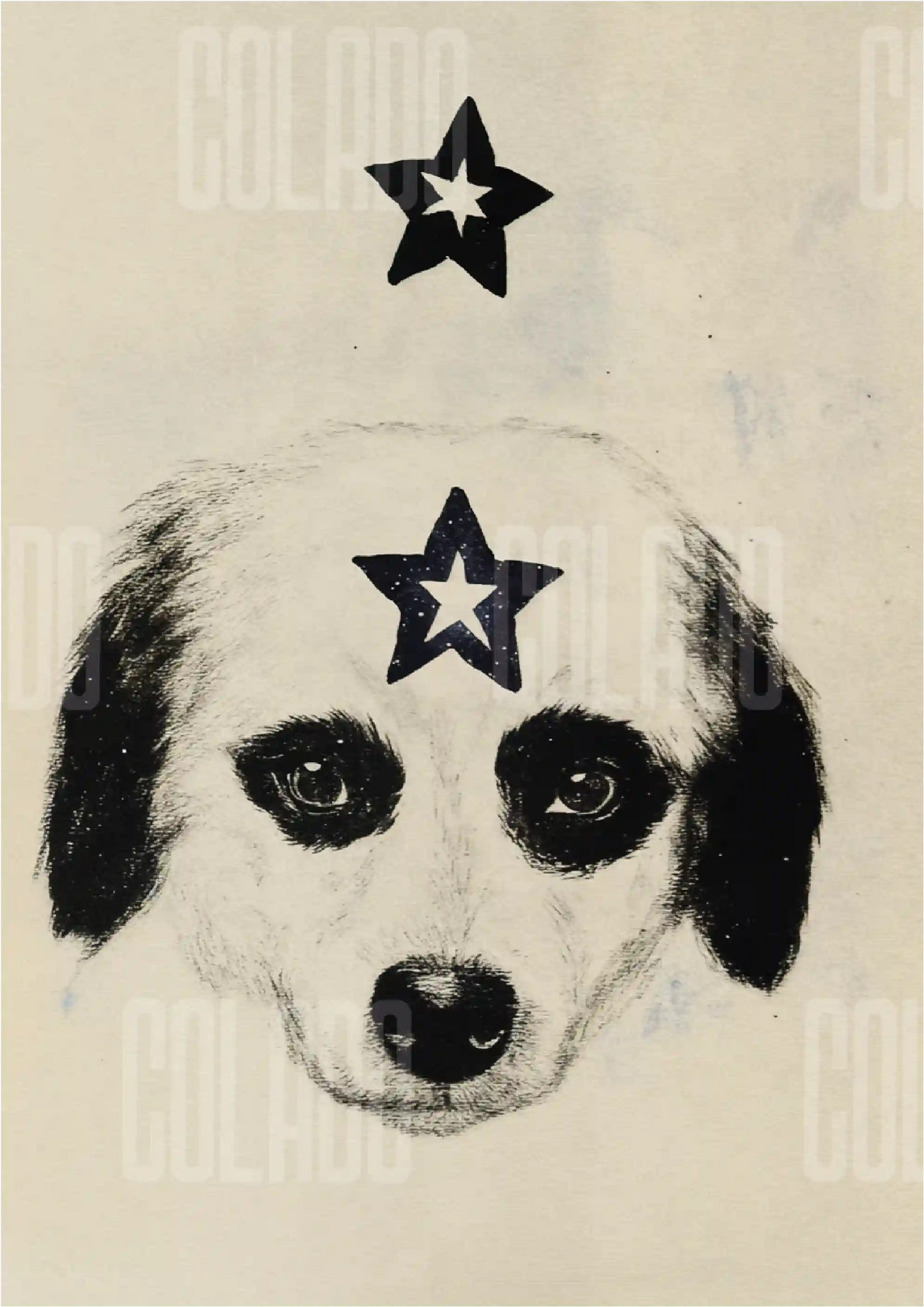 Kit Lambe-lambe Pets Doguinhos