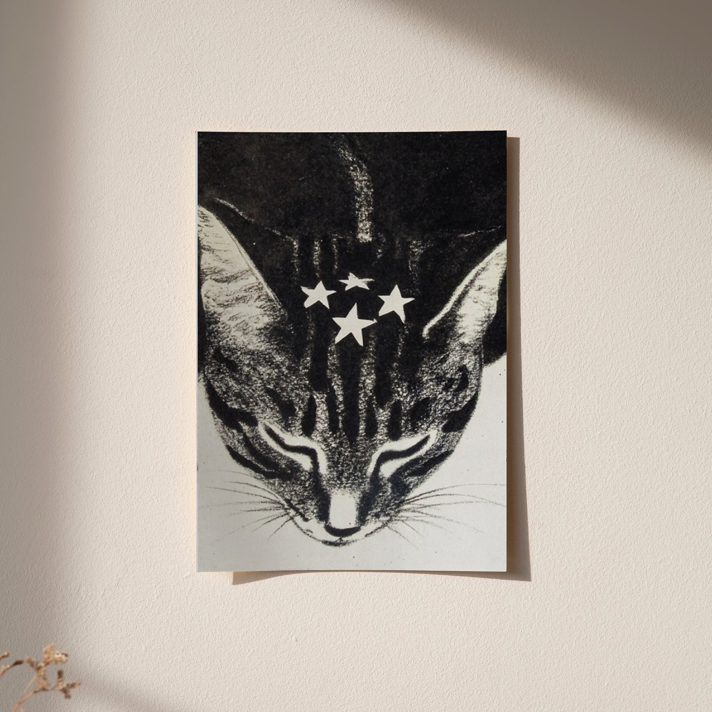 Print Mimi