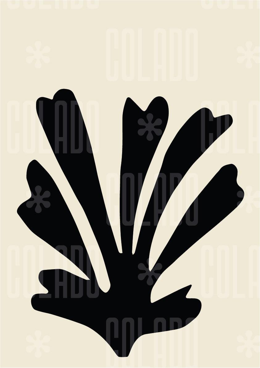 Kit Lambe-lambe Fun Preto e Creme