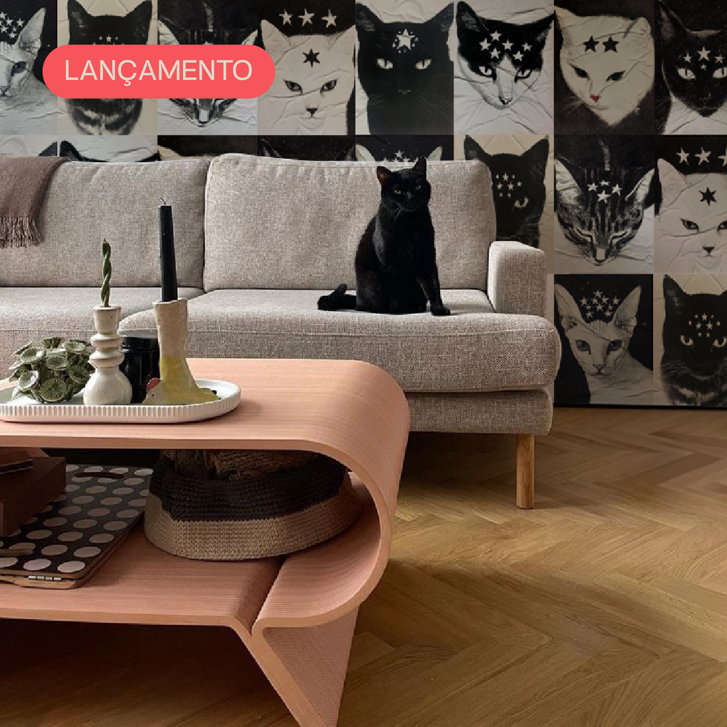 Kit Lambe-lambe Pets Gatitos