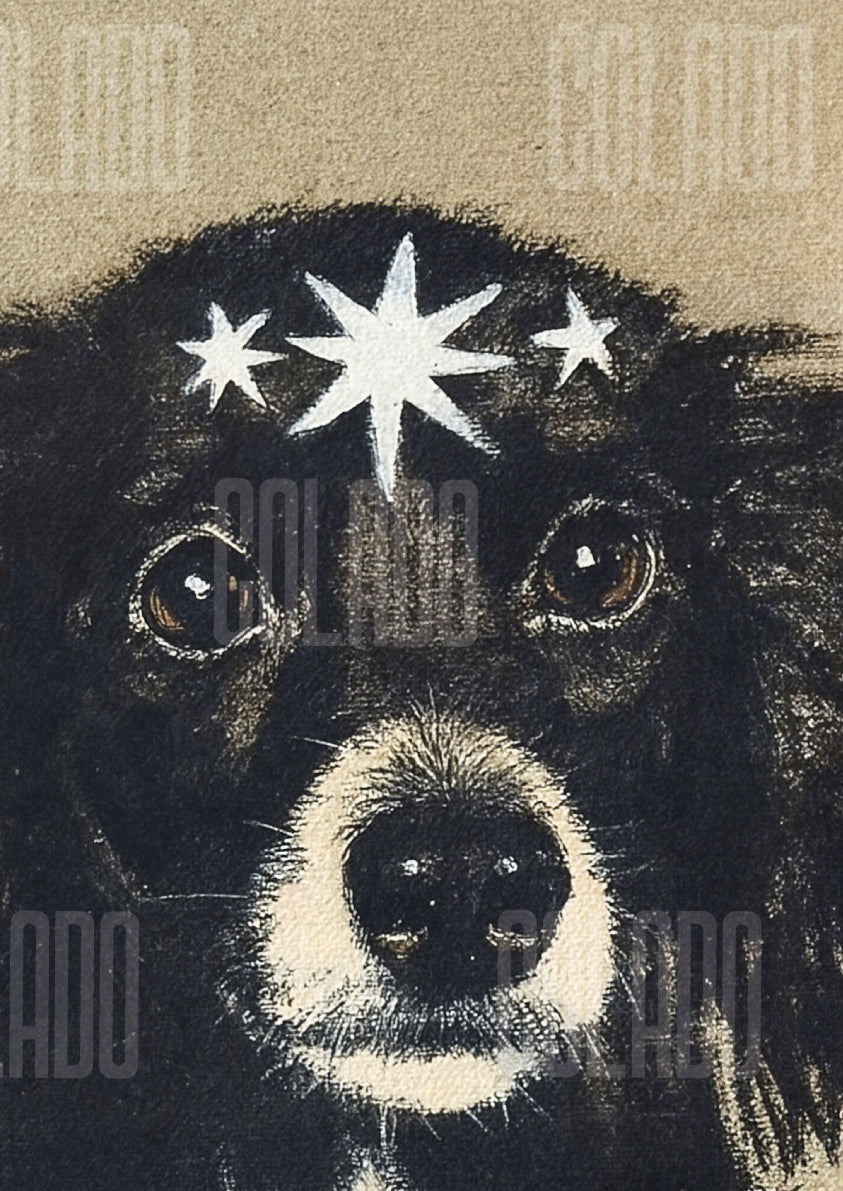 Kit Lambe-lambe Pets Doguinhos