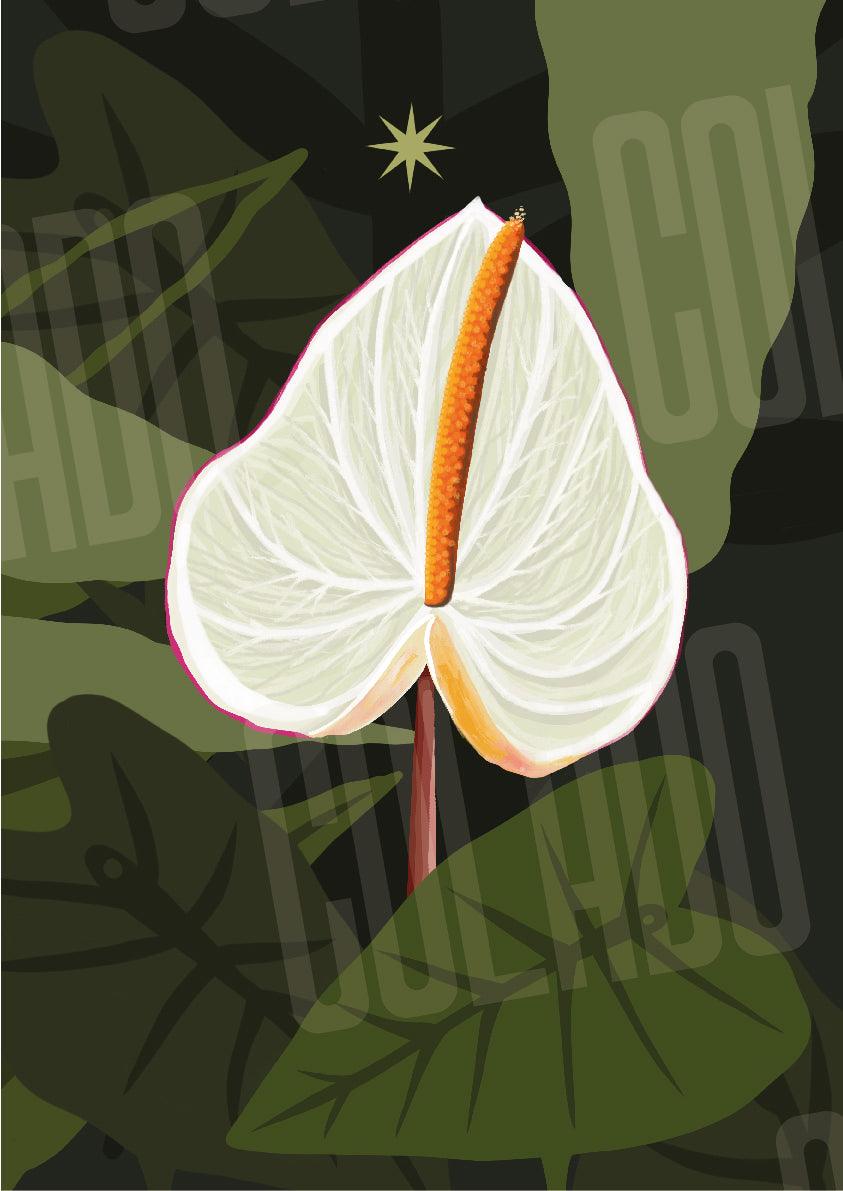 Kit Lambe-lambe Fauna Selva