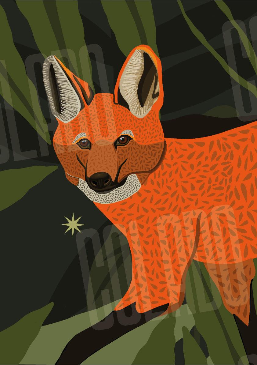 Kit Lambe-lambe Fauna Selva