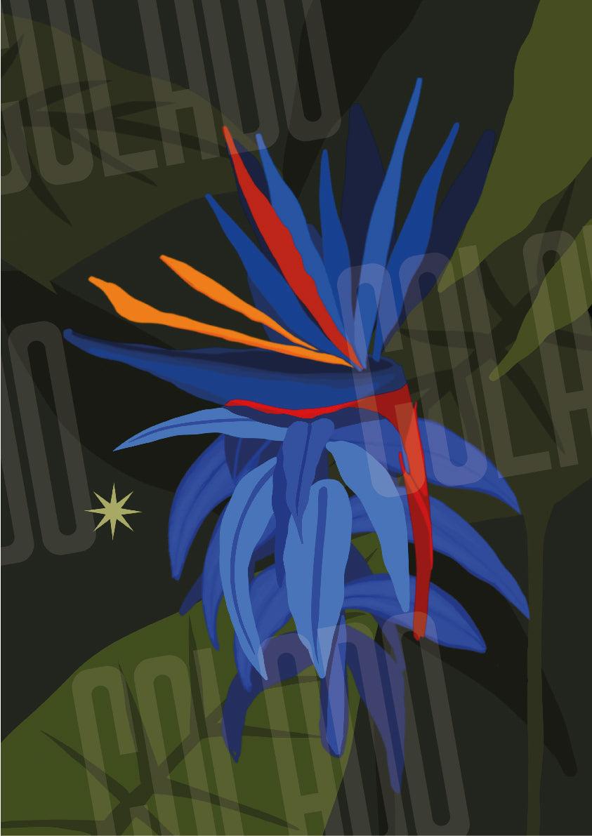 Kit Lambe-lambe Fauna Selva