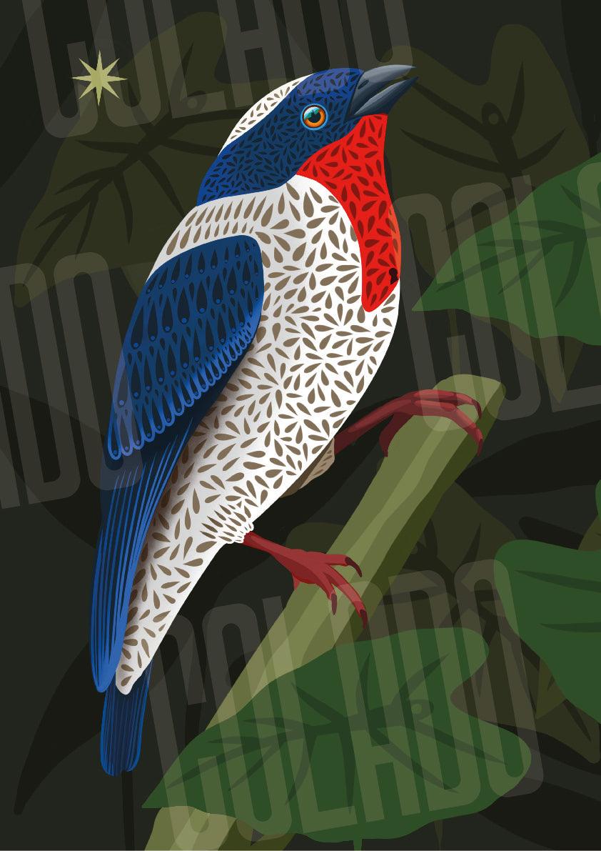 Kit Lambe-lambe Fauna Selva
