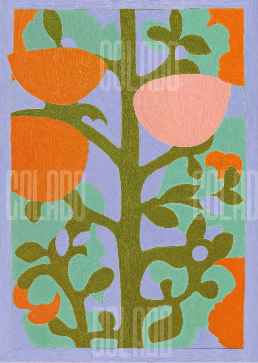 Kit Lambe-lambe Jardim no quintal