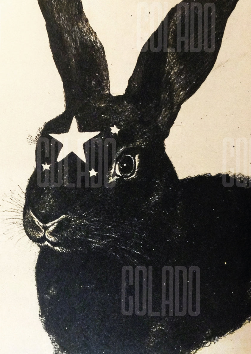 Kit Lambe-lambe Pets