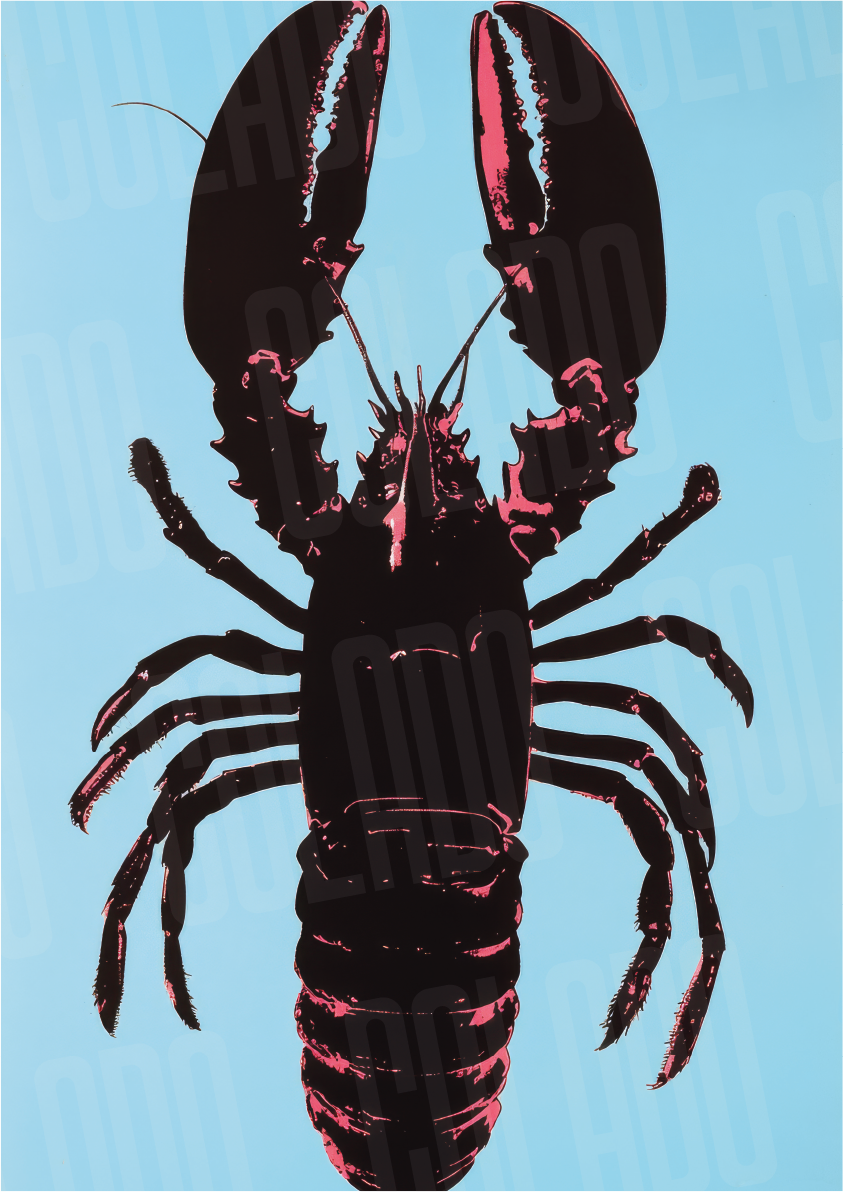 Kit Lambe-lambe Pleasure