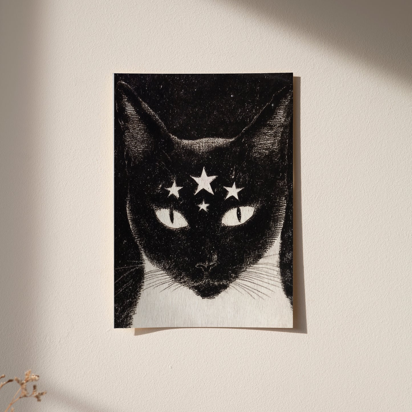 Print Alice