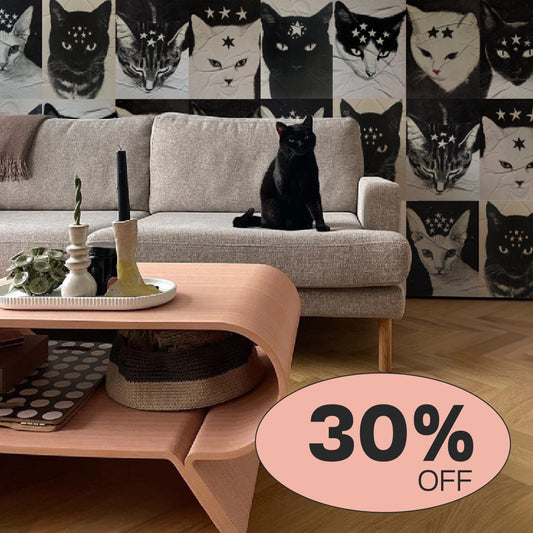 Kit Lambe-lambe Pets Gatitos