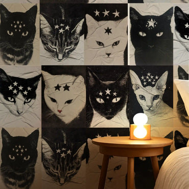 Kit Lambe-lambe Pets Gatitos