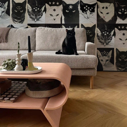 Kit Lambe-lambe Pets Gatitos