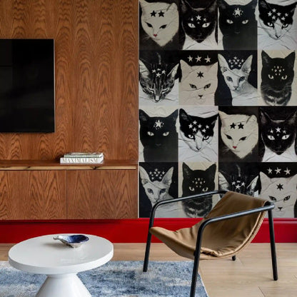 Kit Lambe-lambe Pets Gatitos