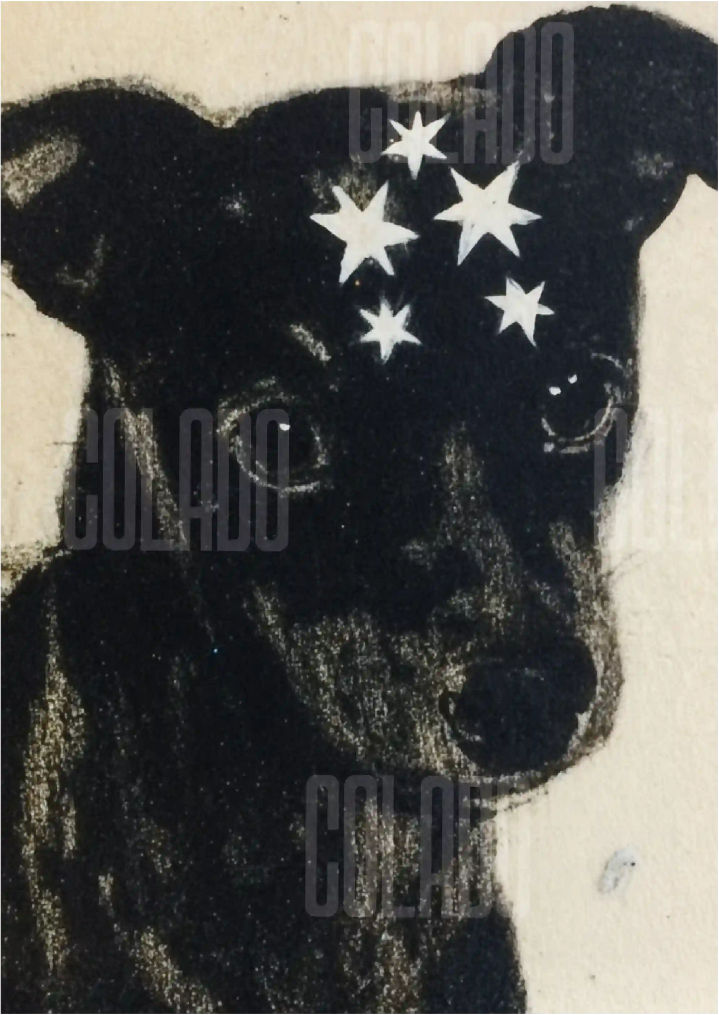 Kit Lambe-lambe Pets Doguinhos