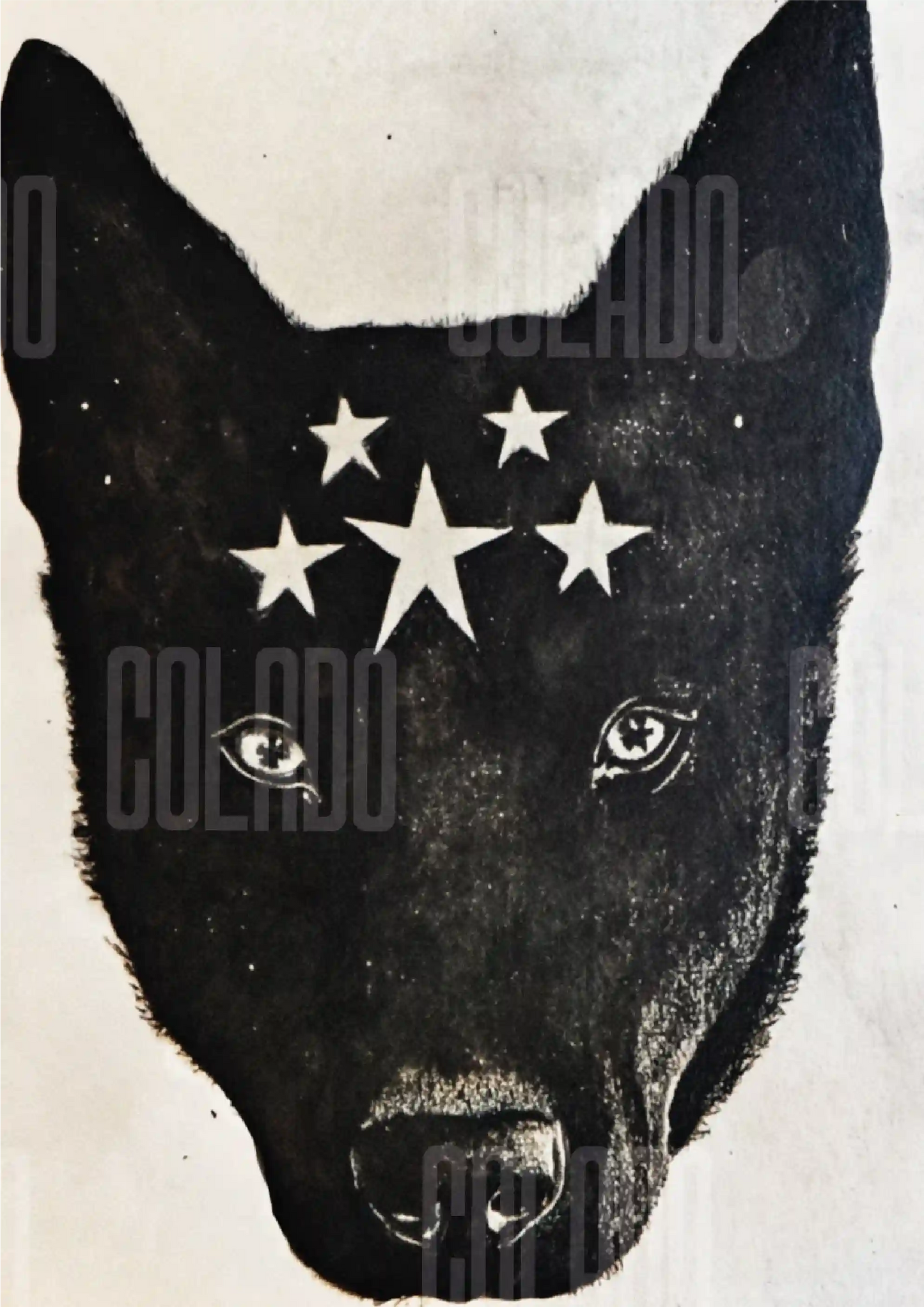 Kit Lambe-lambe Pets Doguinhos