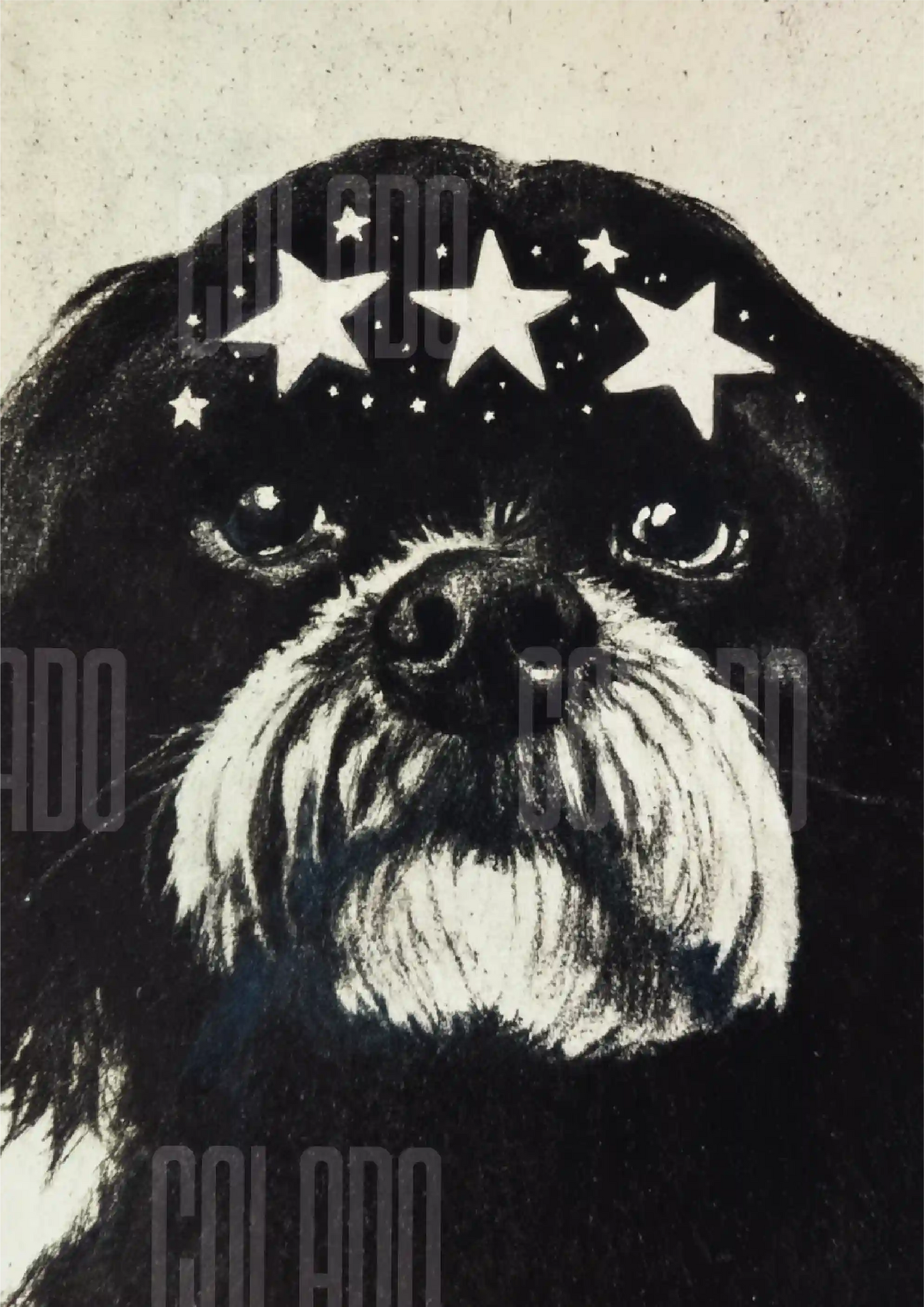 Kit Lambe-lambe Pets Doguinhos