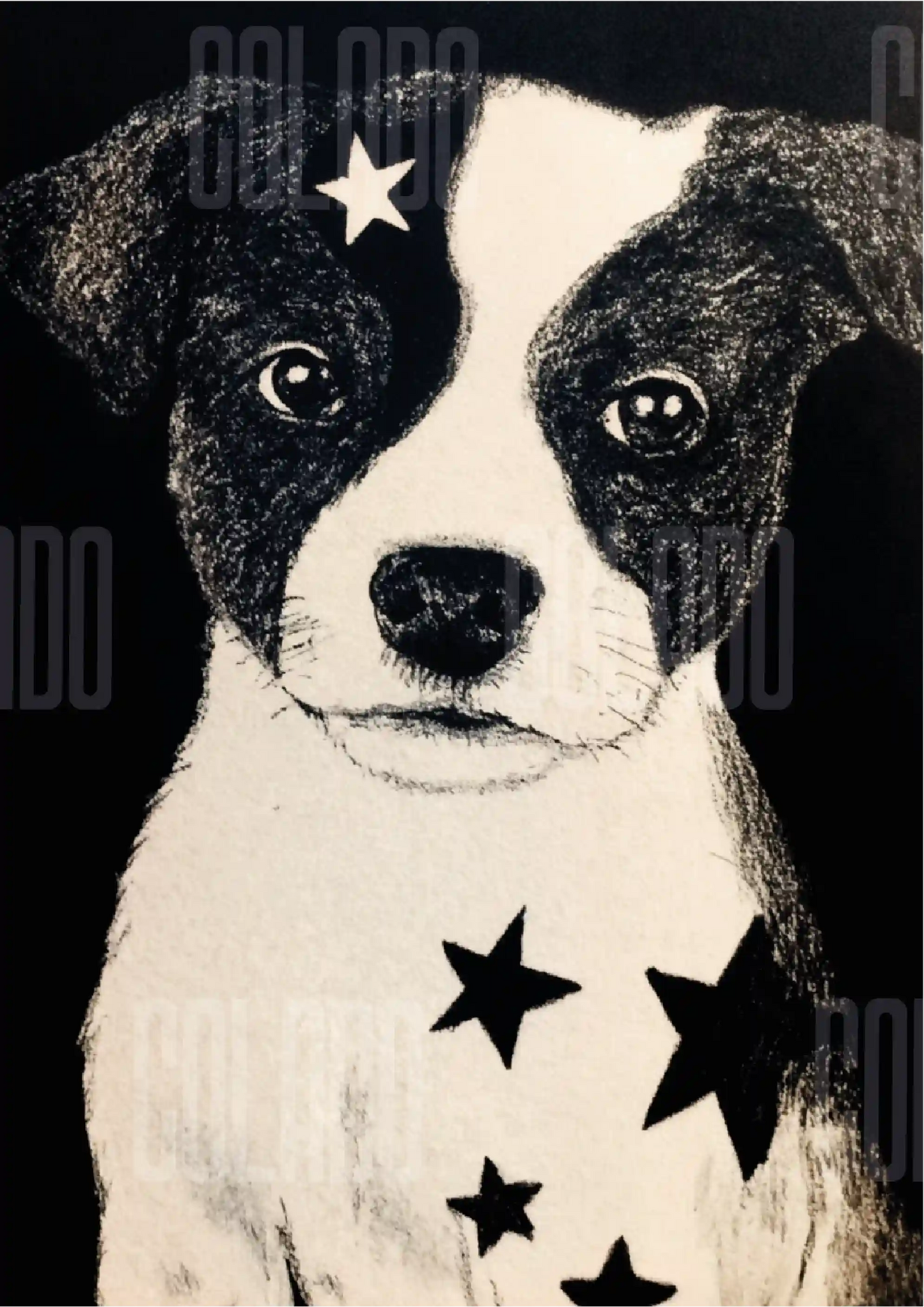 Kit Lambe-lambe Pets Doguinhos