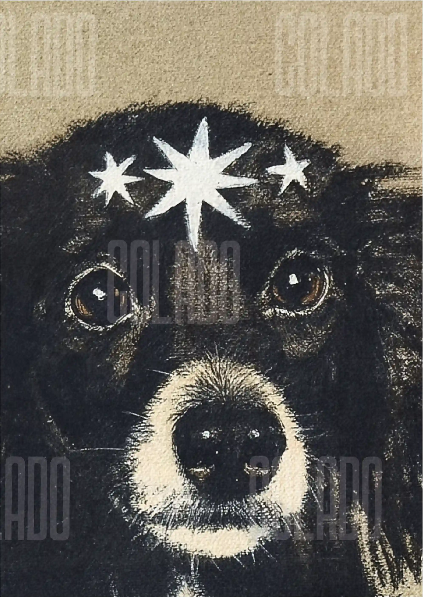 Kit Lambe-lambe Pets Doguinhos