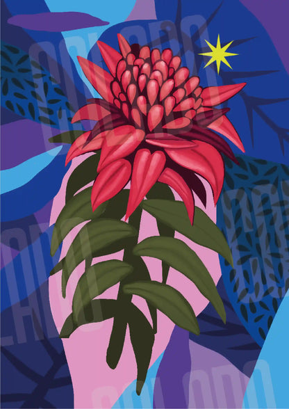 Kit Lambe-lambe Fauna Noite