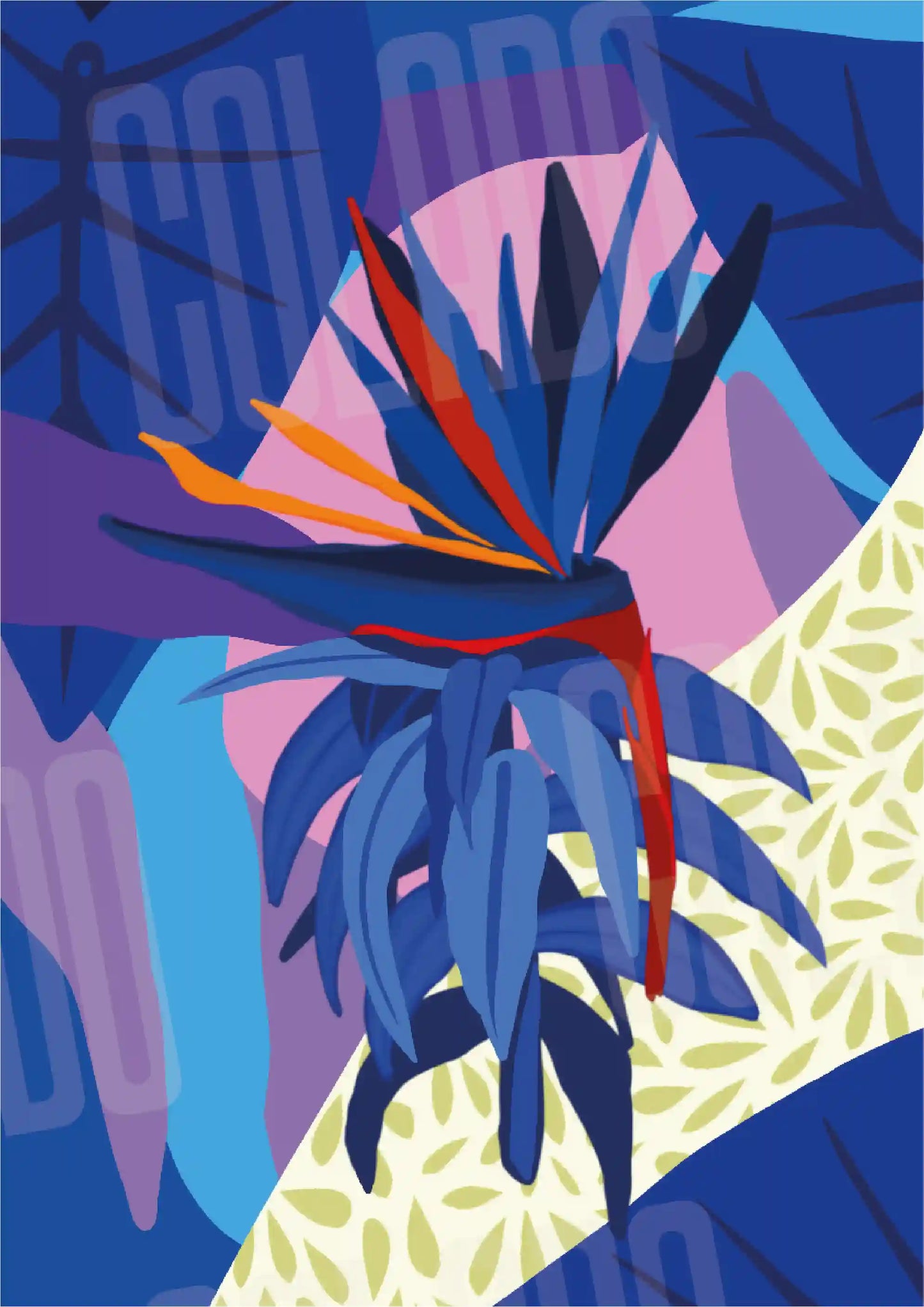 Kit Lambe-lambe Fauna Noite