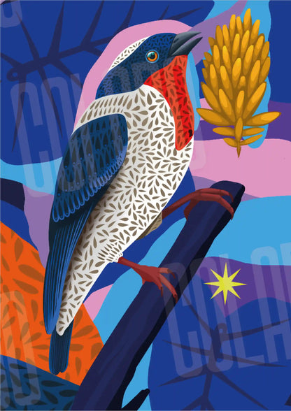 Kit Lambe-lambe Fauna Noite