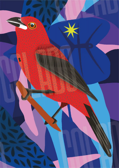 Kit Lambe-lambe Fauna Noite