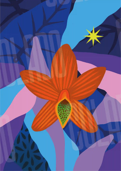 Kit Lambe-lambe Fauna Noite