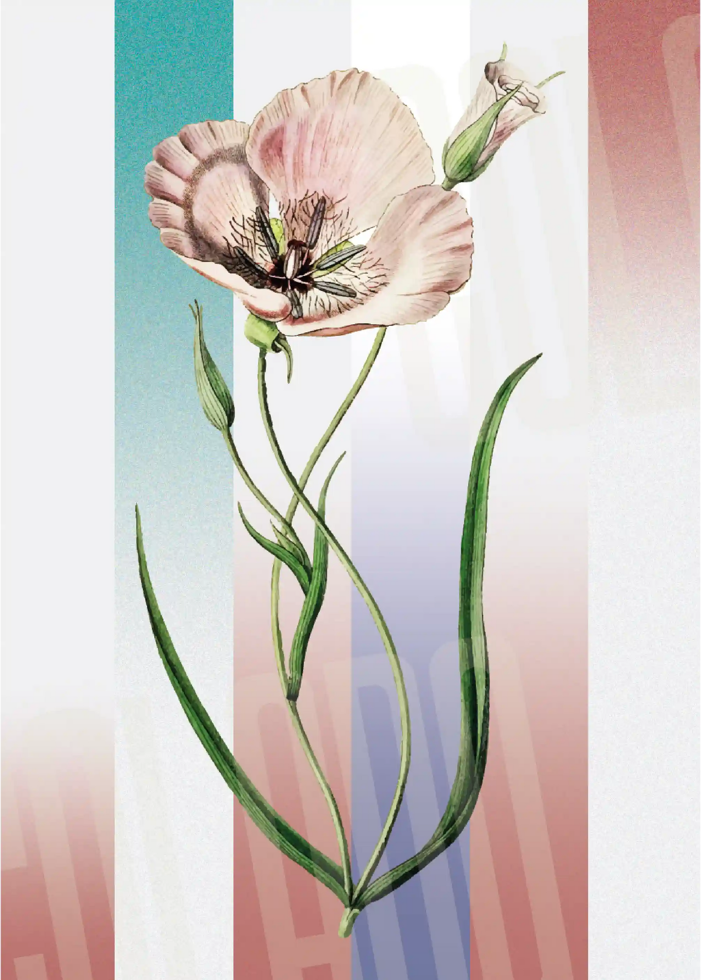 Kit Lambe-lambe Folhagens Cores