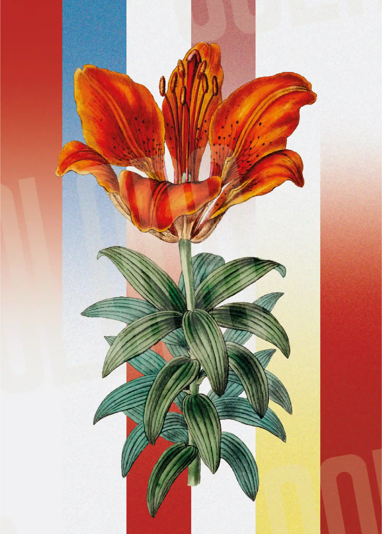 Kit Lambe-lambe Folhagens Cores