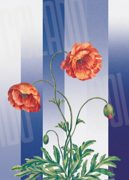 Kit Lambe-lambe Folhagens Hortência