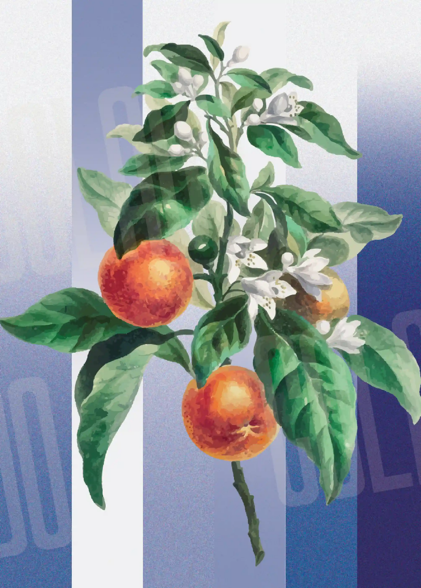 Kit Lambe-lambe Folhagens Hortência