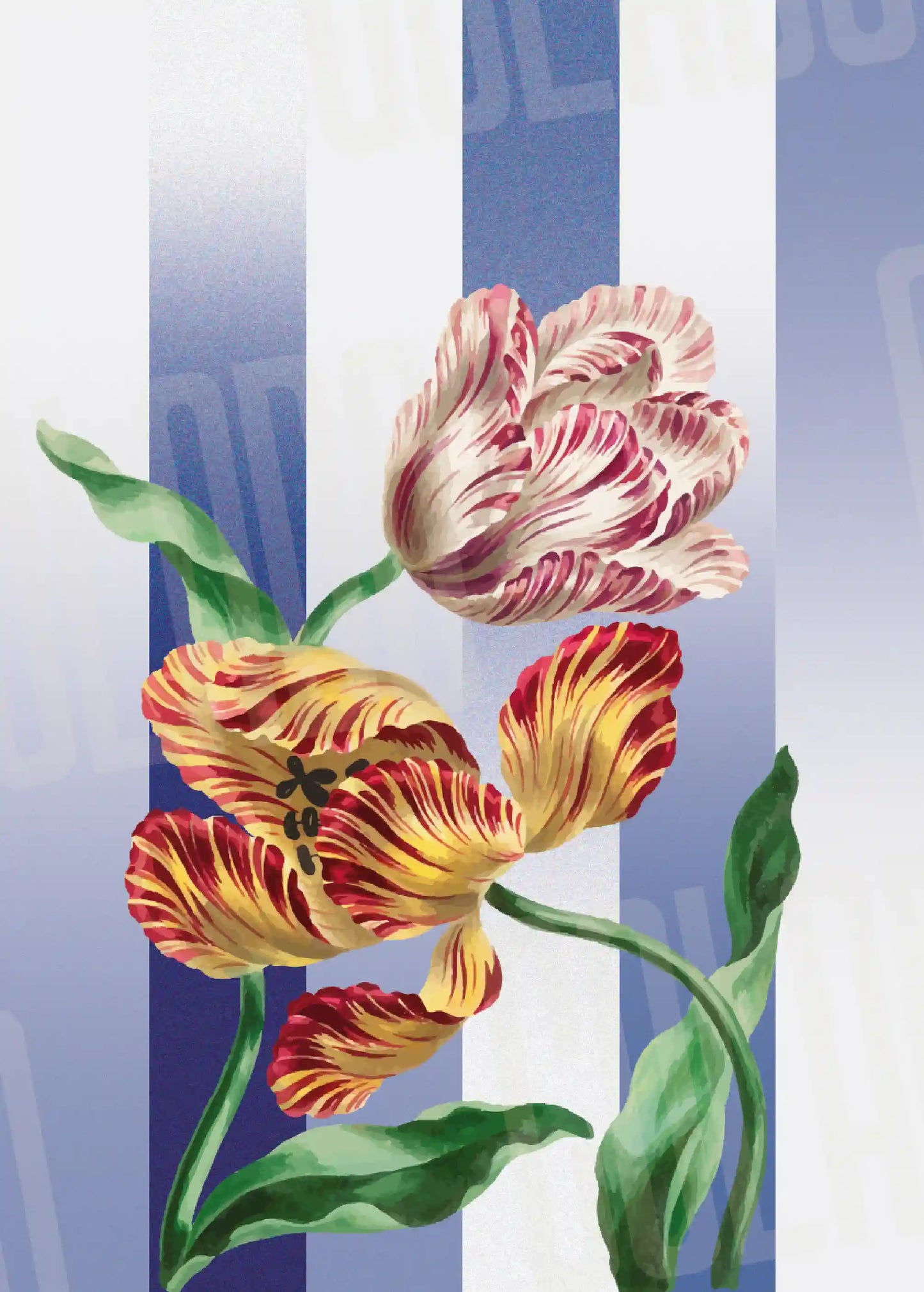 Kit Lambe-lambe Folhagens Hortência