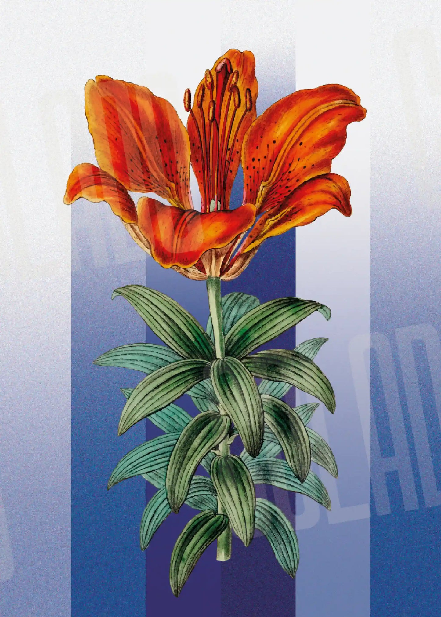 Kit Lambe-lambe Folhagens Hortência