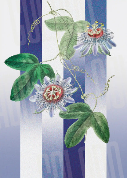 Kit Lambe-lambe Folhagens Hortência