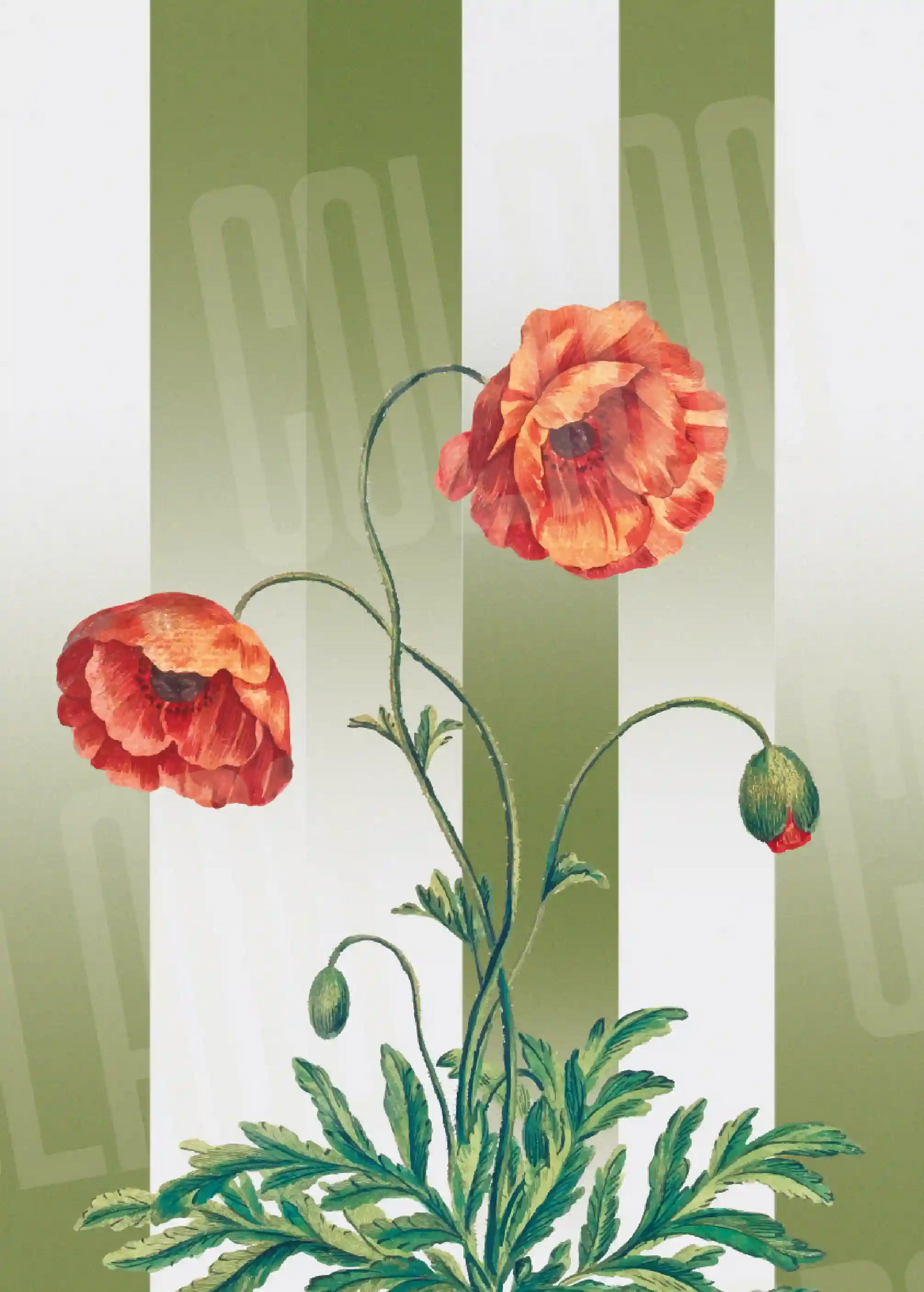 Kit Lambe-lambe Folhagens Verde