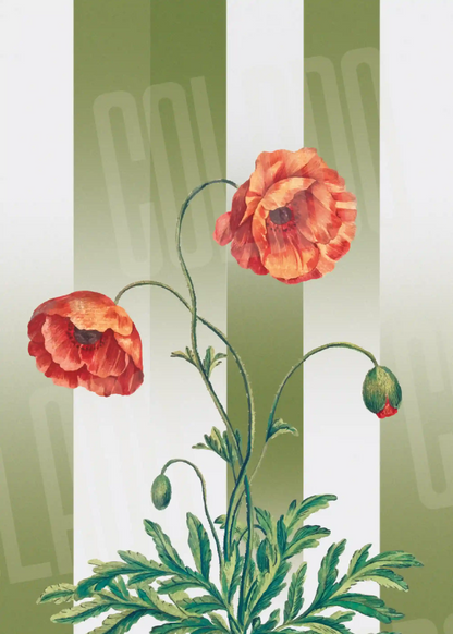 Kit Lambe-lambe Folhagens Verde