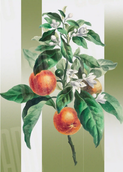 Kit Lambe-lambe Folhagens Verde