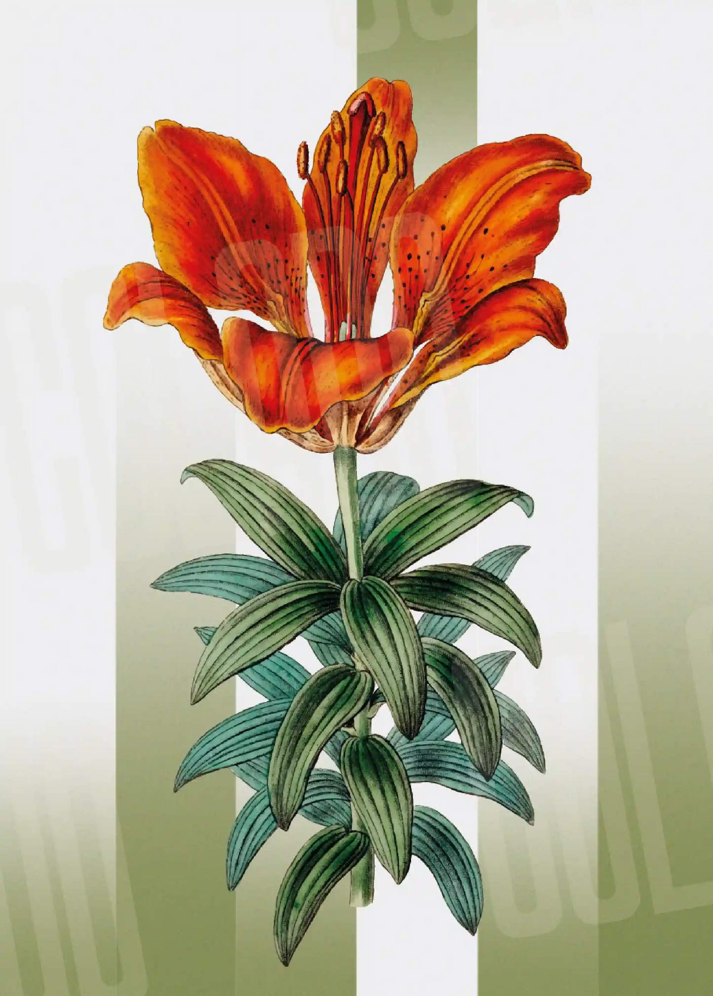 Kit Lambe-lambe Folhagens Verde