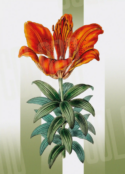 Kit Lambe-lambe Folhagens Verde