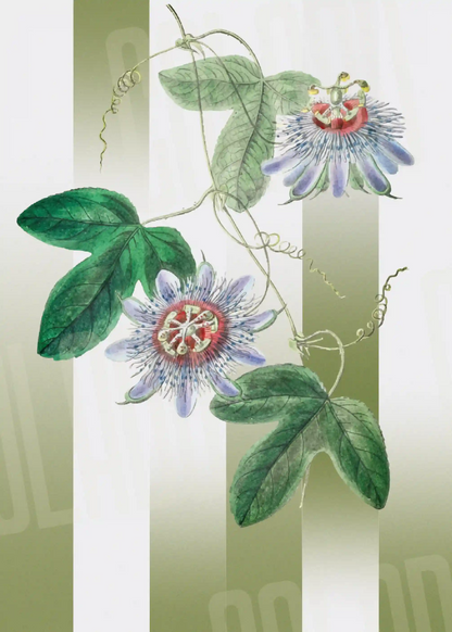 Kit Lambe-lambe Folhagens Verde