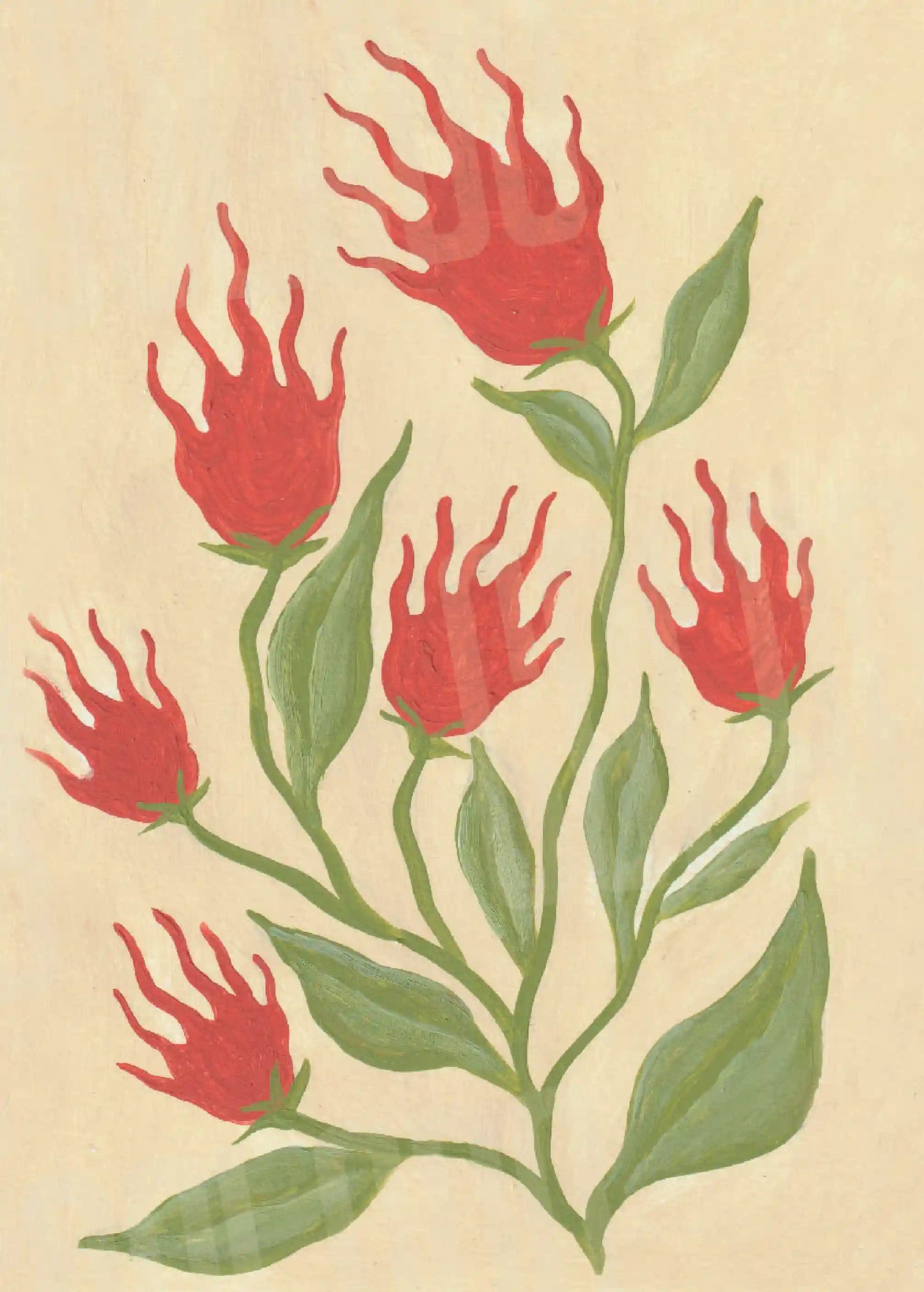 Kit Lambe-lambe Folk