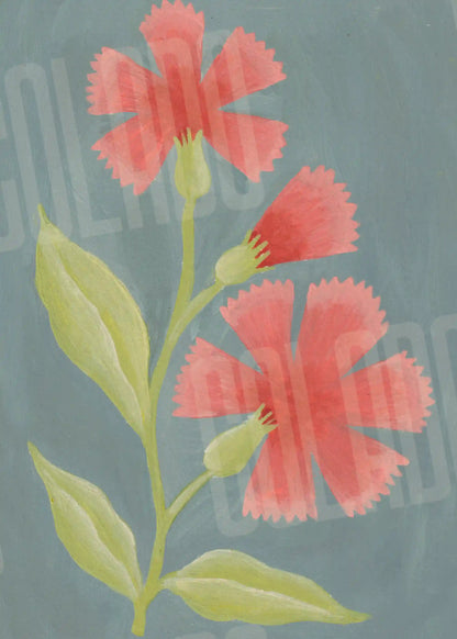 Kit Lambe-lambe Folk