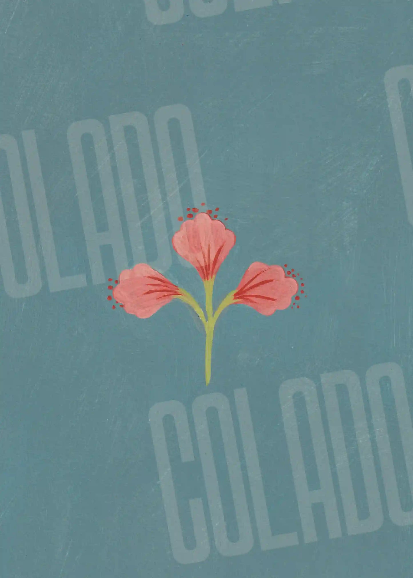 Kit Lambe-lambe Folk