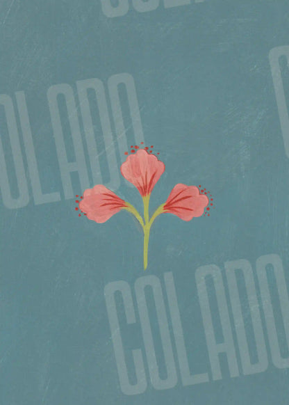 Kit Lambe-lambe Folk