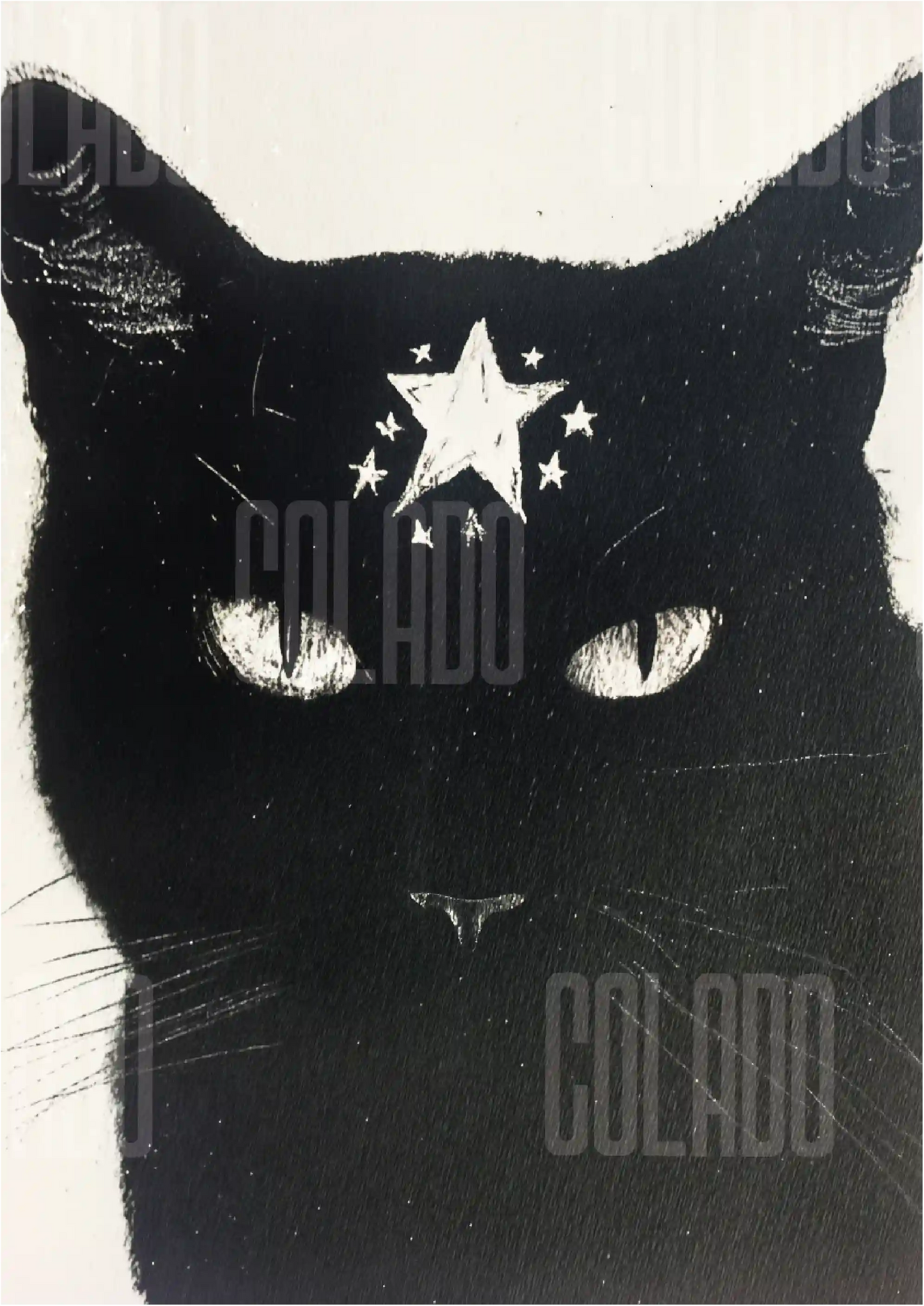 Kit Lambe-lambe Pets Gatitos