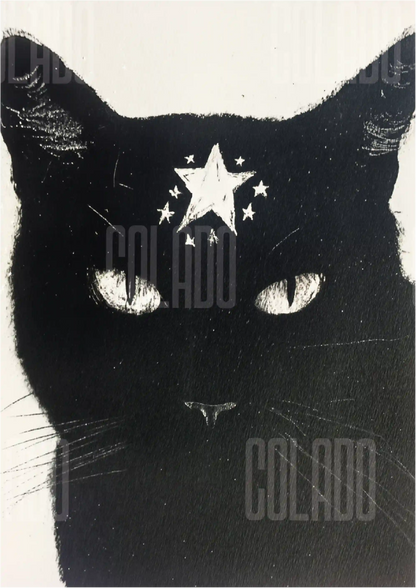 Kit Lambe-lambe Pets Gatitos