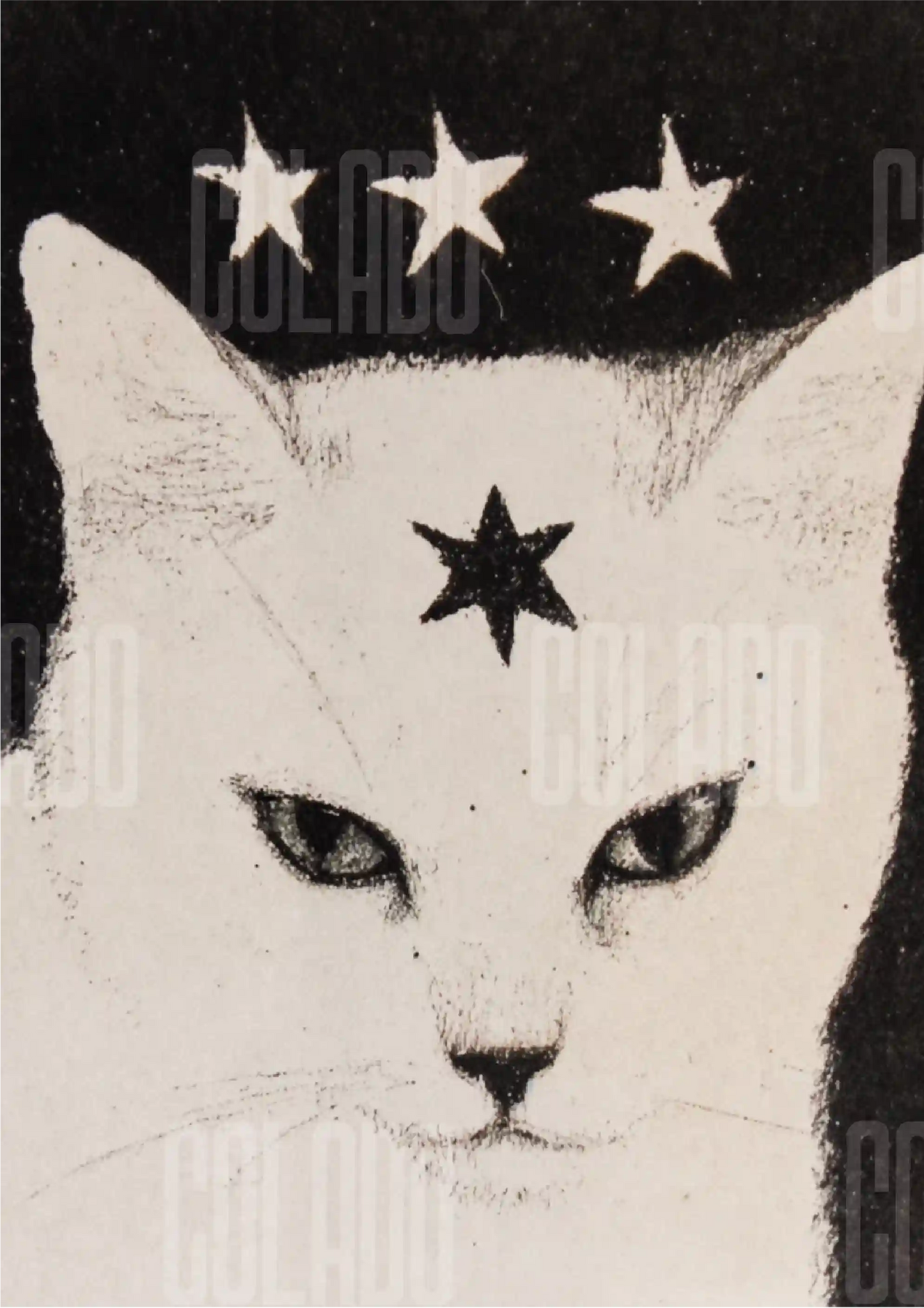 Kit Lambe-lambe Pets Gatitos